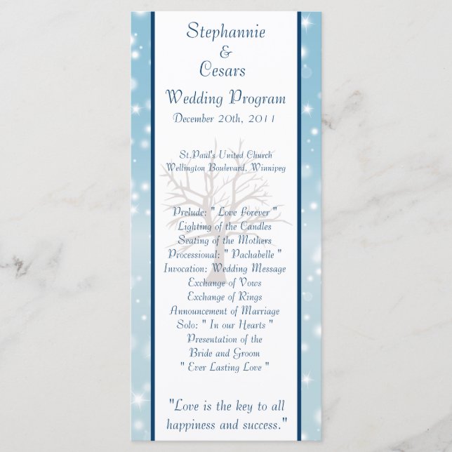 25 4x9 Programme de mariage Twinkling Neige / Arbr (Devant)