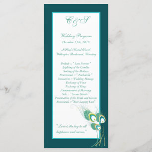 25 Programmes Turquoises de mariage de paon modern