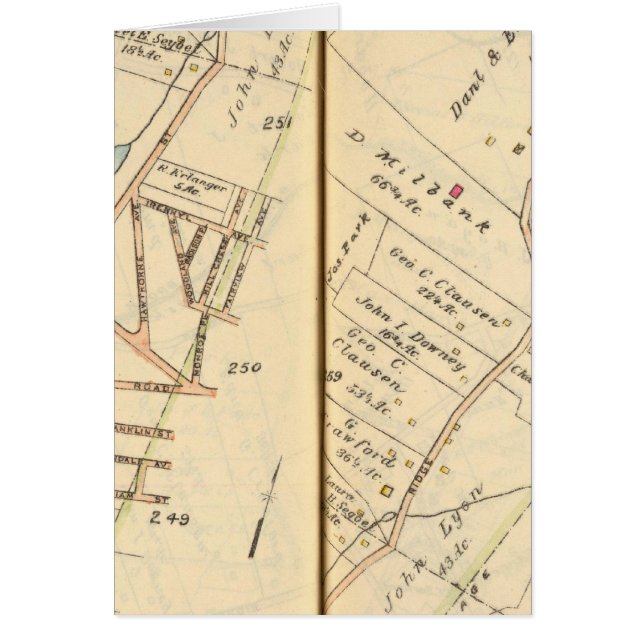 260261 Rye, Harrison (Devant)