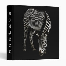 Classeur Zebra P4435