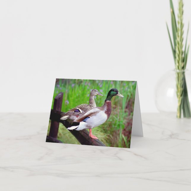 2 canards sur une carte de note de barrière (Devant)