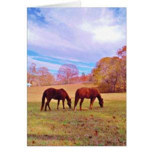 2 chevaux Brown dans un champ coloré