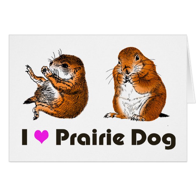 2 chiens de preirie (Devant horizontal)