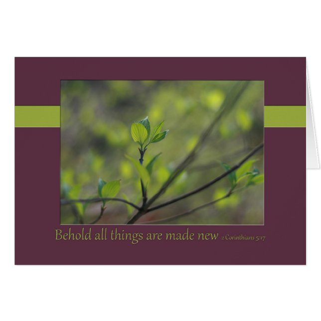 2 Corinthiens 5:17 Voici, tout est fait nouveau (Devant horizontal)