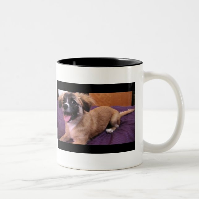 2 Couleurs André : Le roi de la tasse de chiot ! (Droit)