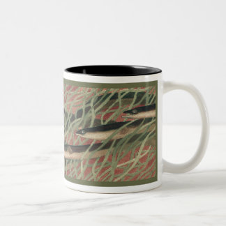 2 Couleurs Anguilles - tasse de café