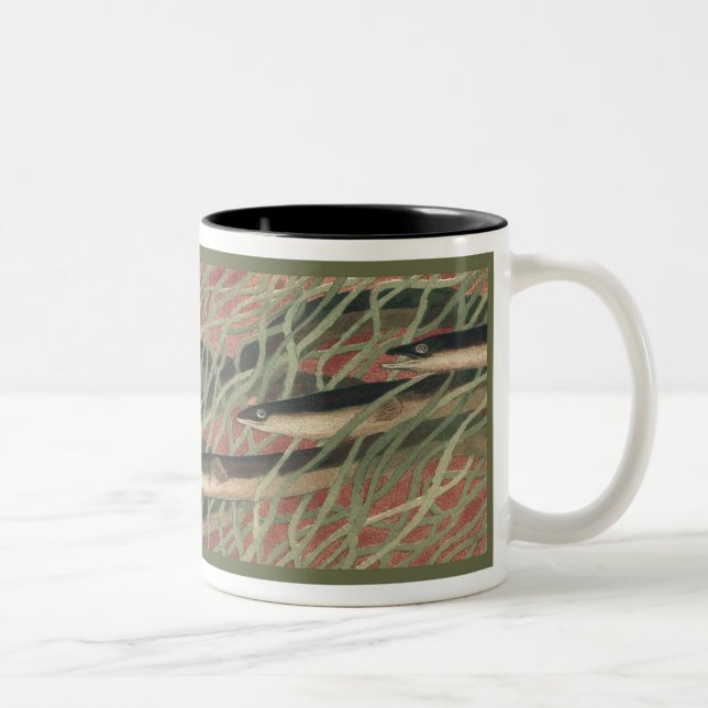 2 Couleurs Anguilles - tasse de café (Droit)