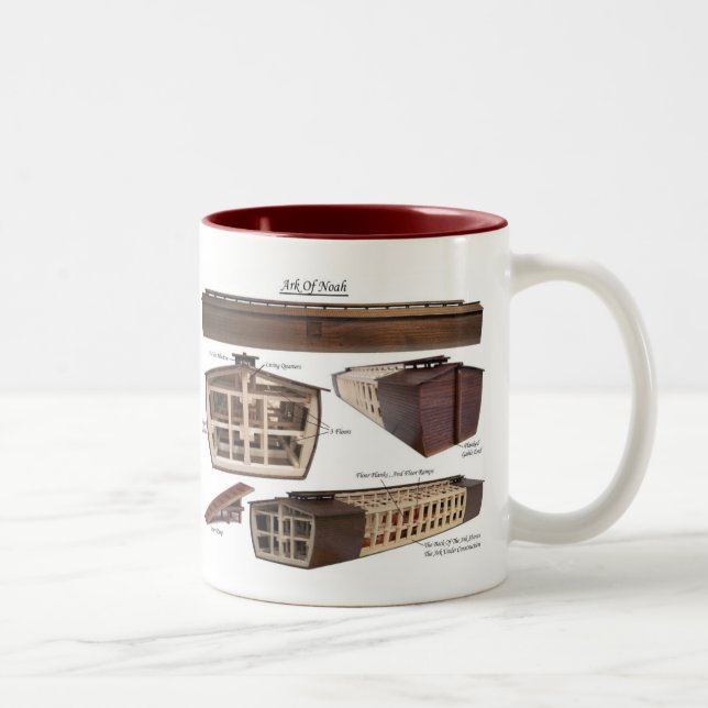 2 Couleurs Arche de tasse de Noé (Droit)