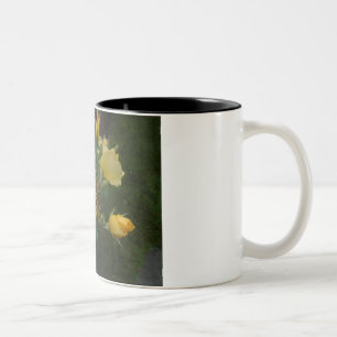 2 Couleurs boho floral de roses jaunes rustique pour sa tasse