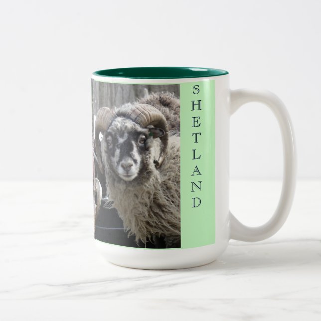 2 COULEURS CAFÉ DE SHETLAND TUPS, TASSE DE CACAO (Droit)