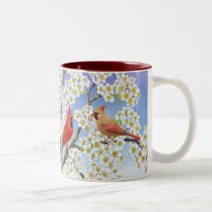 2 Couleurs Cardinaux en fleurissant la tasse de pommier