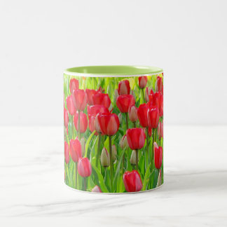 2 Couleurs Champ de tasse de tulipes