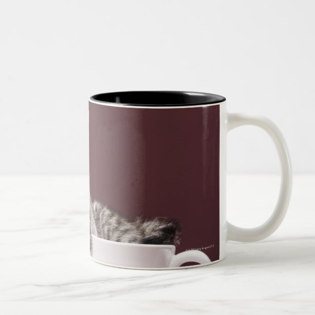 2 Couleurs Chaton dans la tasse et soucoupe (Droit)