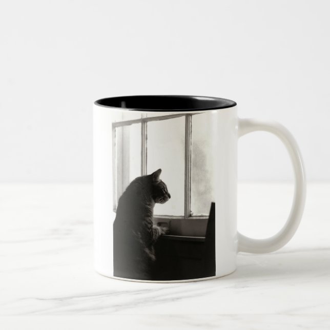 2 Couleurs Chats à la tasse de fenêtre (Droit)