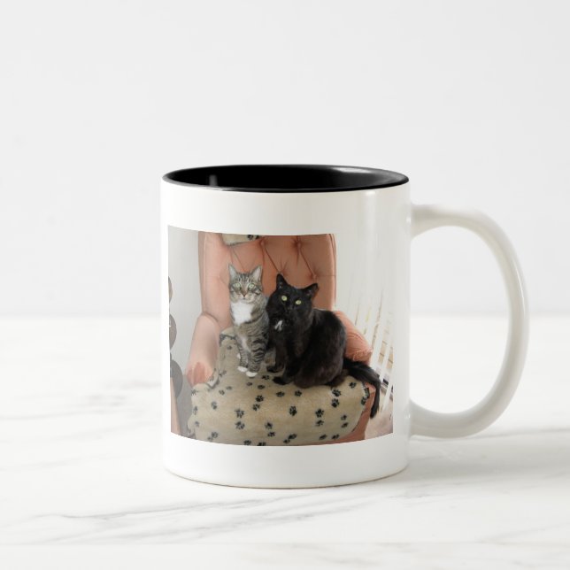 2 Couleurs Chats sur une tasse de chaise (Droit)
