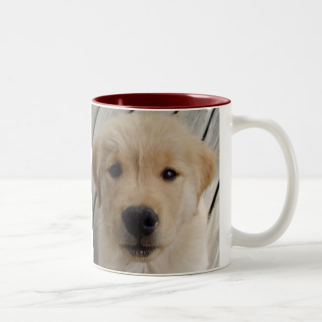 2 Couleurs Chiot de TASSE de golden retriever (Droit)