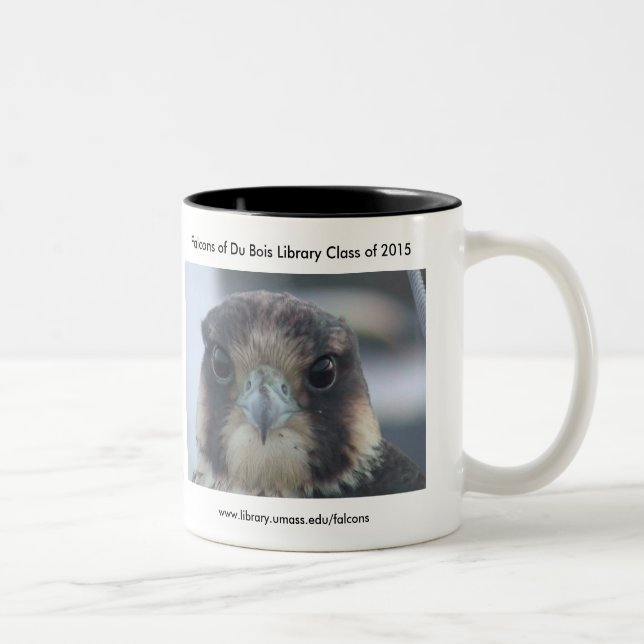 2 Couleurs Classe de la tasse 2015 de faucon (Droit)