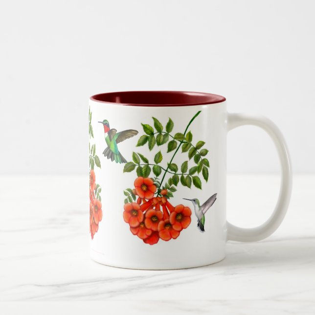 2 Couleurs Colibris Throated rouges sur la tasse de plante (Droit)
