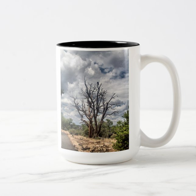 2 Couleurs Considérez la tasse de Ravens (Droit)