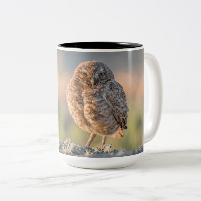 2 Couleurs Creuser la grande tasse de hibou (Devant droit)
