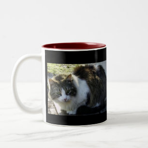 2 Couleurs Deux ont modifié la tonalité la tasse de Kitty