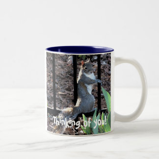 2 Couleurs DS pensant à vous ! tasse d'écureuil