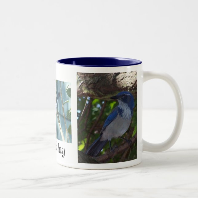 2 Couleurs Frottez la tasse de geai (Droit)