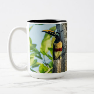 2 Couleurs grande tasse Châtaigne-à oreilles d'Aracari