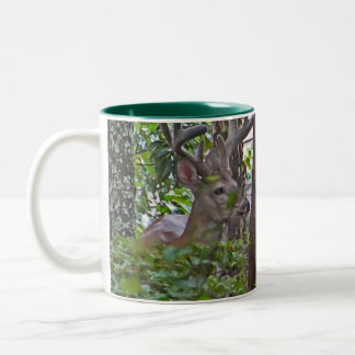 2 Couleurs La DZ tasse de cerfs communs