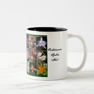 2 Couleurs La tasse de l'amant d'orchidée