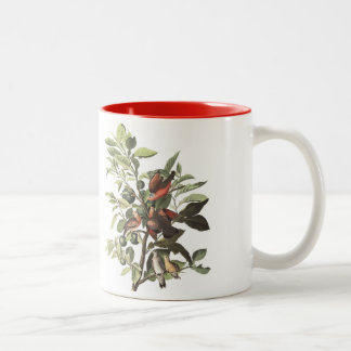 2 Couleurs La tasse d'oiseau d'Audubon, la terre a plongé, 15
