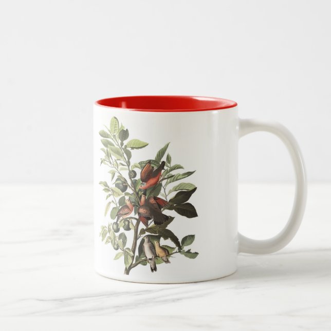 2 Couleurs La tasse d'oiseau d'Audubon, la terre a plongé, 15 (Droit)