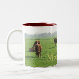 2 Couleurs Le brun effraye la tasse