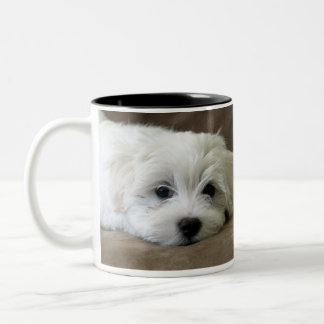 2 Couleurs Le chiot observe la tasse faite sur commande
