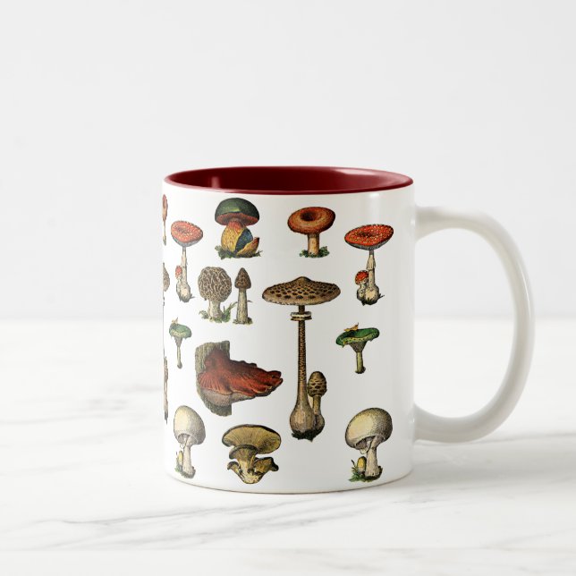 2 Couleurs Le cru répand tasse (Droit)
