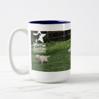 Les demi-douzaines tasse du houx de gambades
