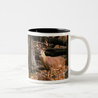 2 COULEURS MÂLE ÉNORME !  TASSE