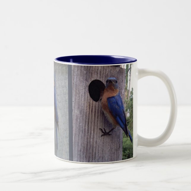 2 Couleurs Oiseaux bleus sur la tasse de boîte (Droit)