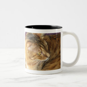 2 Couleurs Parties scintillantes de Kishka dans la tasse d'or