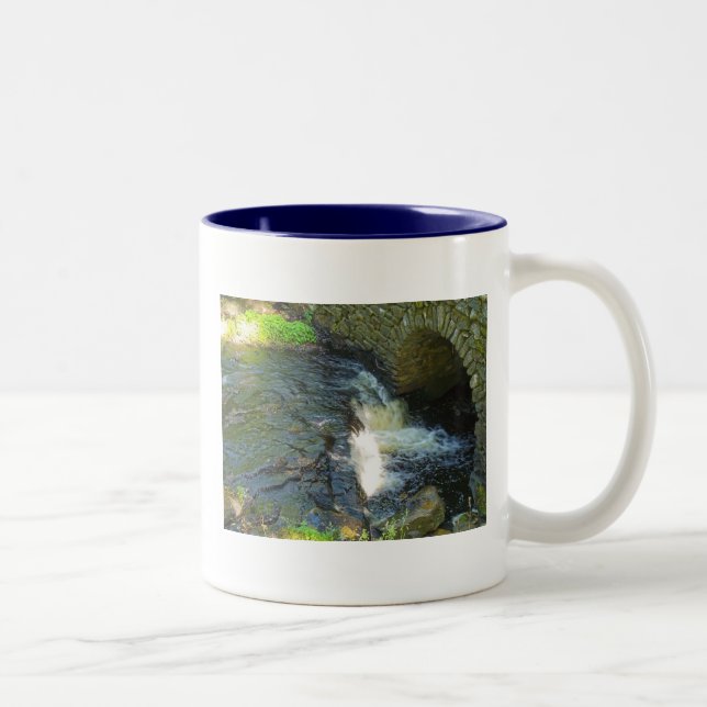 2 Couleurs Pont au-dessus de tasse préoccupée des eaux (Droit)