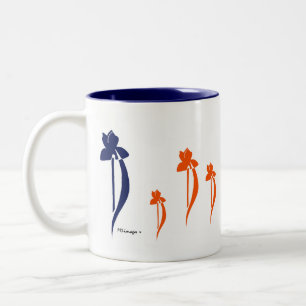 2 Couleurs PRLimages irise la tasse