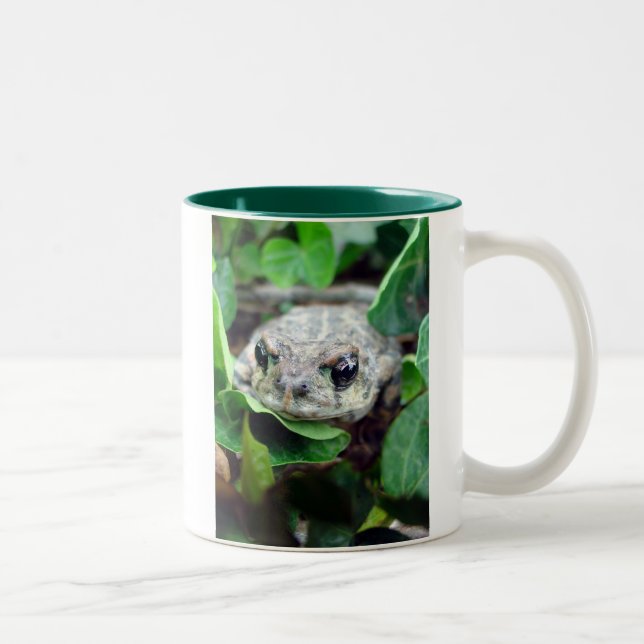 2 Couleurs Ribbit, tasse à deux tons de Ribbit (Droit)