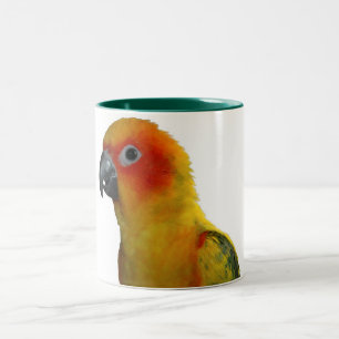 2 Couleurs Sun Conure tasse de 15 onces