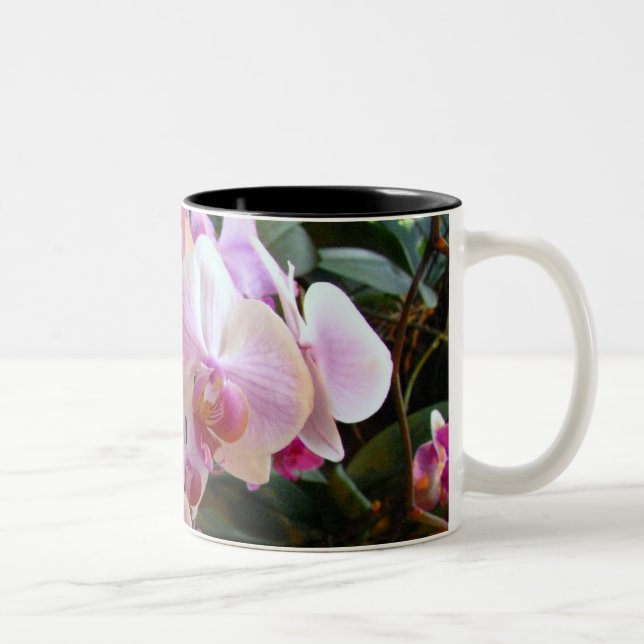 2 Couleurs Tasse 6 d'orchidée (Droit)