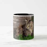 Tasse à café avec chat tigré sauvage