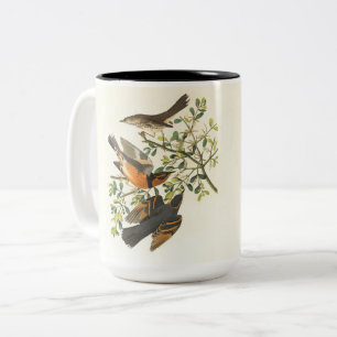 2 Couleurs Tasse à café Vintage Bird & Wildflower Nat éléga