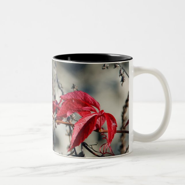 2 Couleurs Tasse aux feuilles rouges (Droit)
