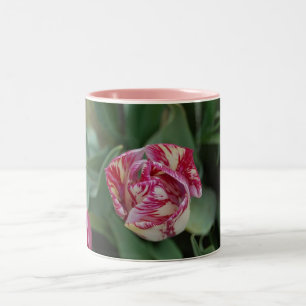 2 Couleurs Tasse avec une tulipe