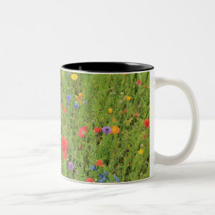 2 Couleurs Tasse bicolore Fleurs sauvages Photo de printemps