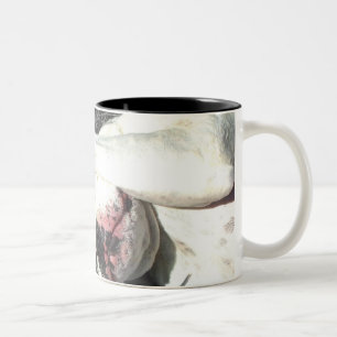 2 Couleurs Tasse blanche de boxeur